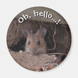 Mus i Hål Magnet