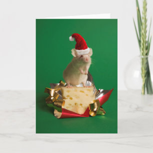 Mus med Santas hatt med ost Helgkort