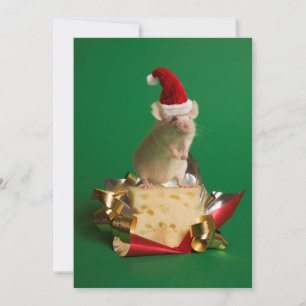Mus med Santas hatt med ost Julkort