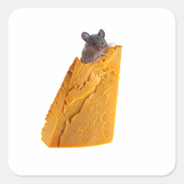MUS OCH OST PÅ KLICKER FYRKANTIGT KLISTERMÄRKE