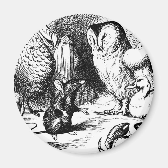 Mus och torr storia magnet (Framsidan)