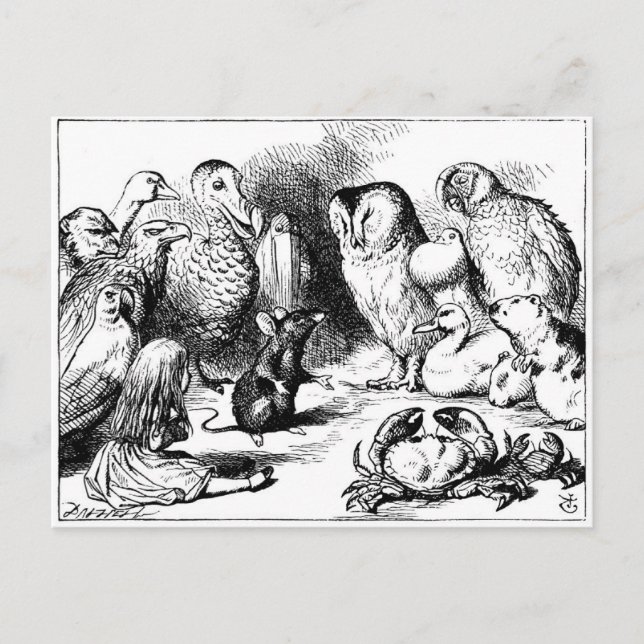 Mus och torr storia vykort (Framsida)