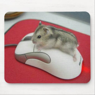 Mus på en mus Mousepad Musmatta