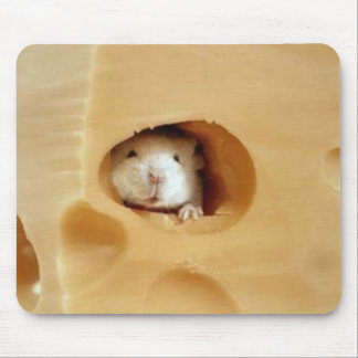 mus på en musmatta