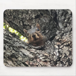 Mus-penna för ekorrar musmatta