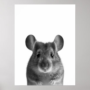 Mus Skogslandskap Modern Porträtt svart vitt Poster