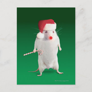 Mus som kläs som jultomten helg vykort