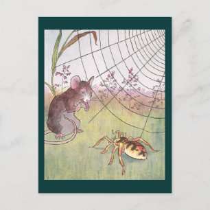 Mus, spider och Webben i ängen Vykort