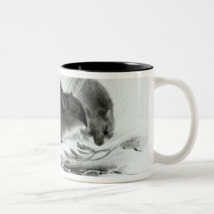 Mus Tierra Del Fuego, South America c.1832-36 Två-Tonad Mugg