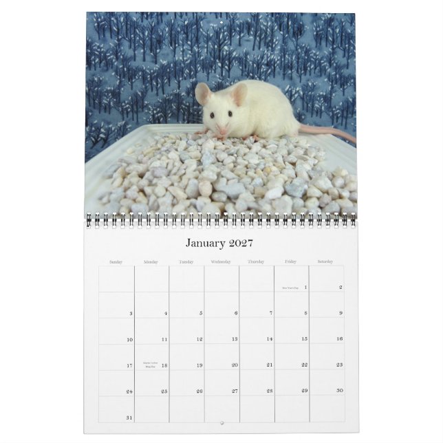 Musälskare kalender 2012 (Jan 2027)