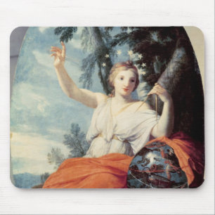 Musauranen, 1646-47 musmatta