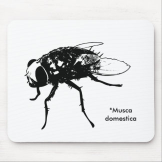 Muscadomesticamousepad Musmatta