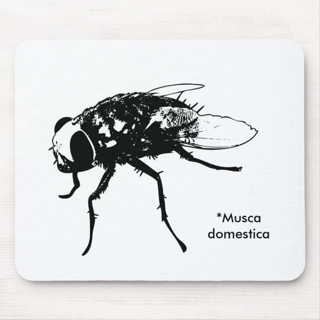 Muscadomesticamousepad Musmatta (Framsidan)