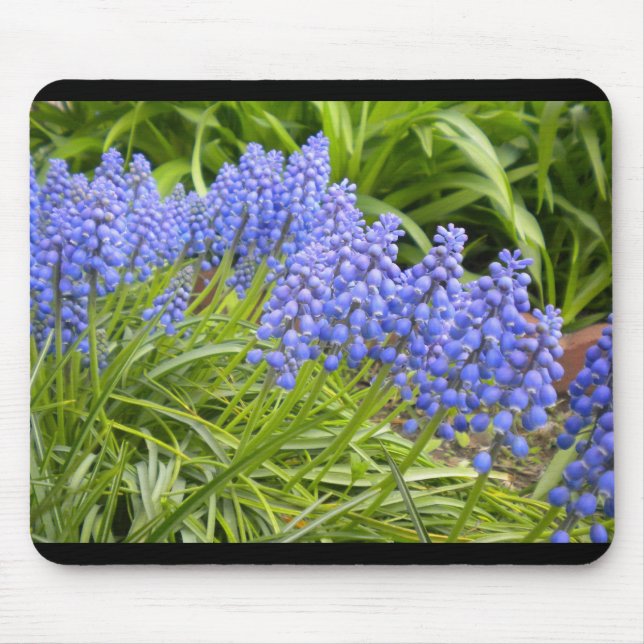 Muscari/druva Hyacint Mouse Pad Musmatta (Framsidan)