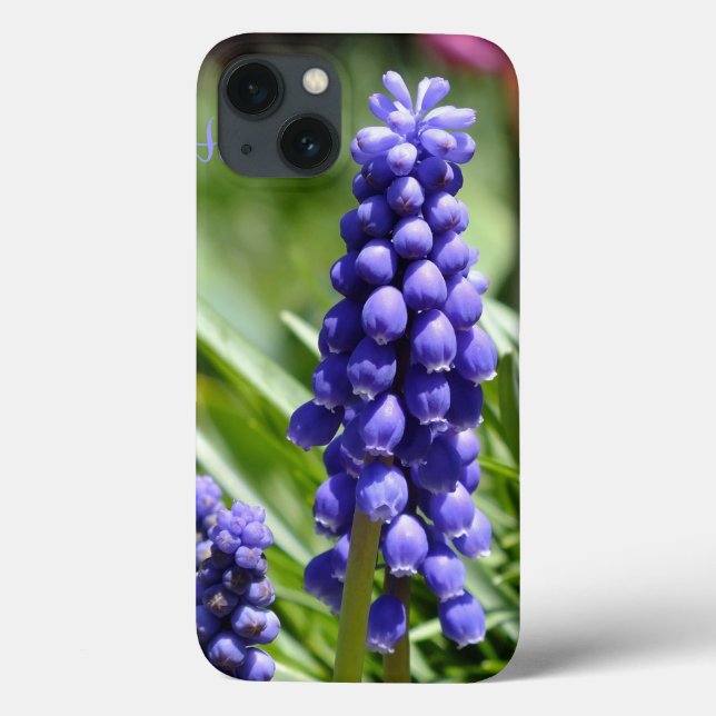 Muscari (Grape Hyacint) iPad Case (Baksida)