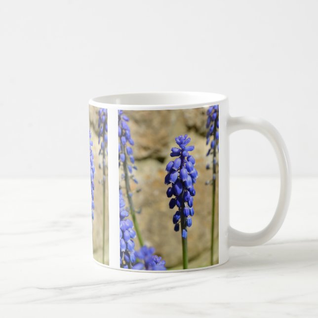 Muscari Grape Hyacinth Mugg (Höger)