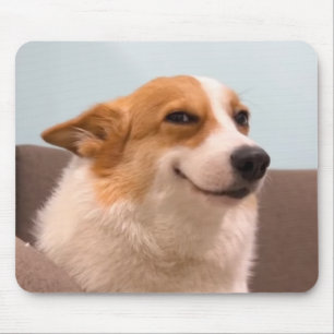 Muschad för att le Corgi-medlemmar Musmatta