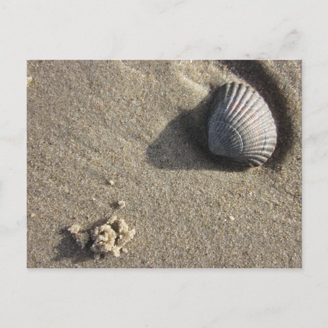 Muschel Vykort (Framsida)