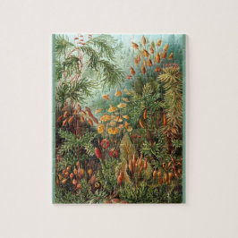 Muscinae - Ernst Haeckel 8x10 Pussel