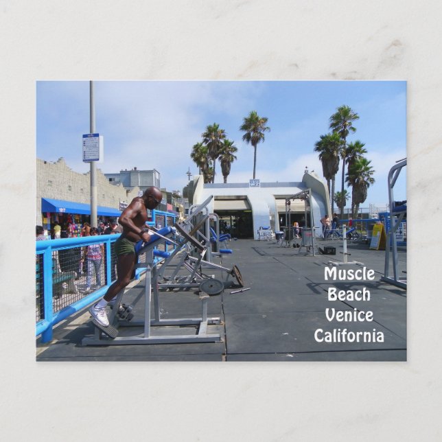 Muscle Beach Venice-vykort! Vykort (Framsida)