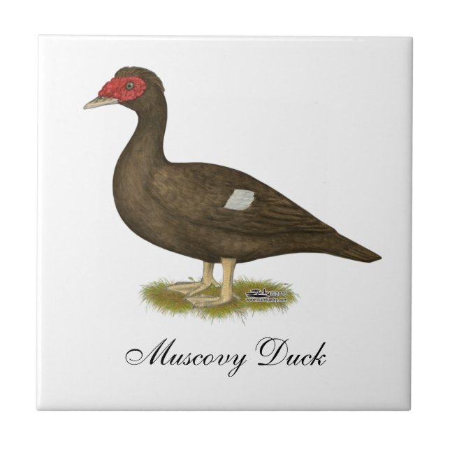 Muscovy Anka Chocolate Kakelplatta (Framsidan)