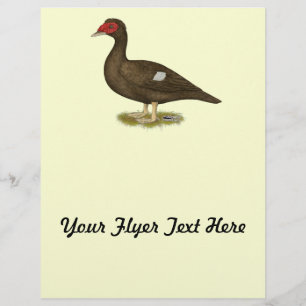 Muscovy Anka Chocolate Reklamblad