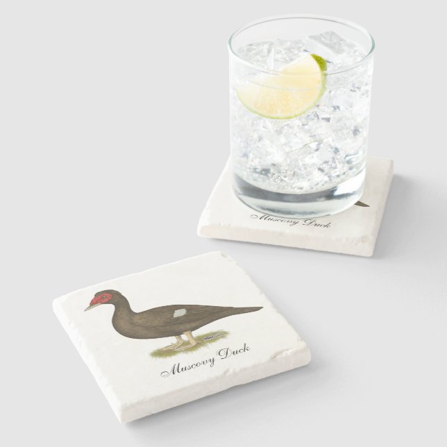 Muscovy Anka Chocolate Underlägg Sten (Sidan)