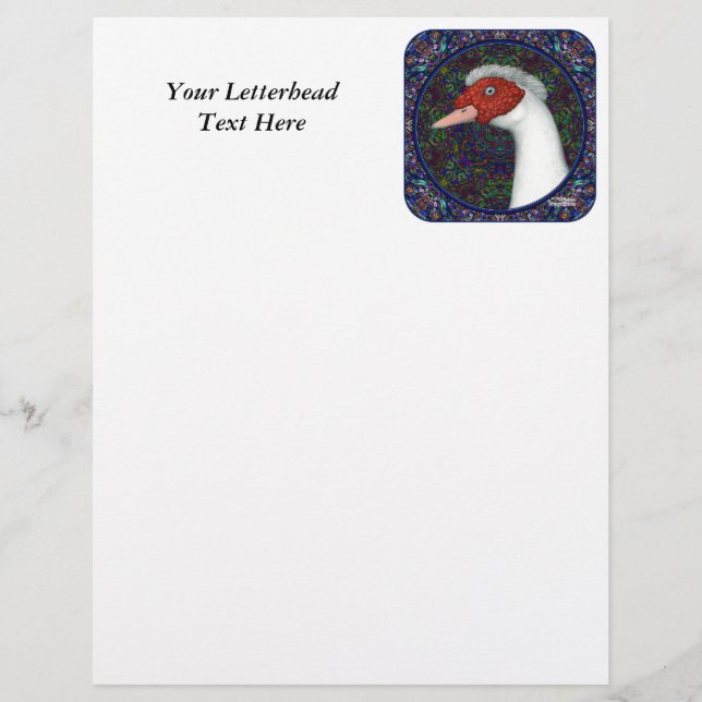 Muscovy Anka Head White (Framsida)