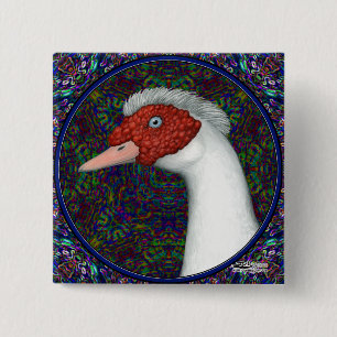 Muscovy Anka Head White Knapp