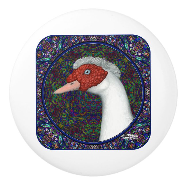 Muscovy Anka Head White Knopp (Framsidan)
