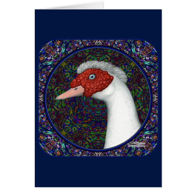 Muscovy Anka Head White OBS Kort (Framsidan)