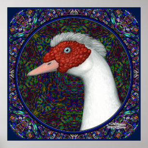 Muscovy Anka Head White Poster