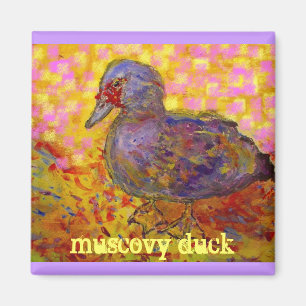 muscovy anka magnet