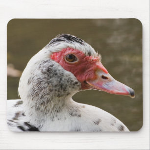 Muscovy anka Mousepad Musmatta