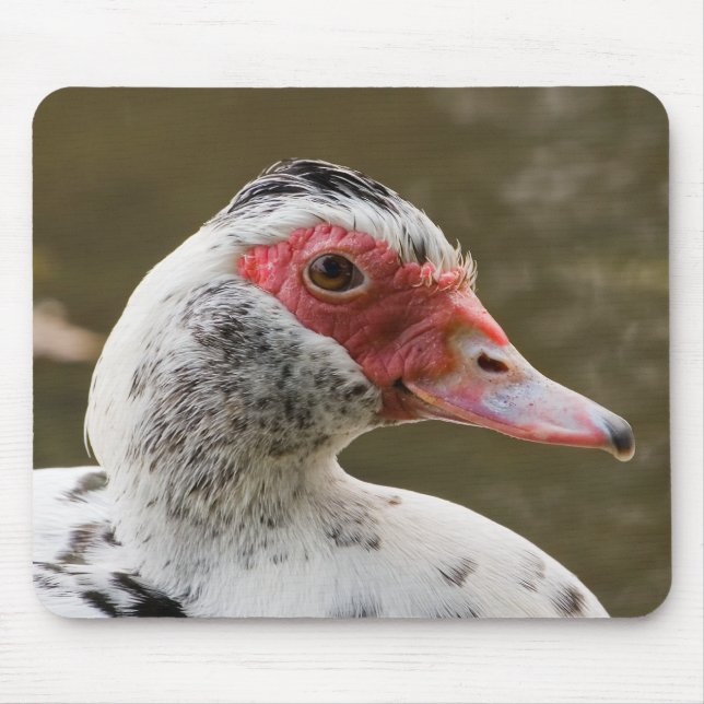 Muscovy anka Mousepad Musmatta (Framsidan)