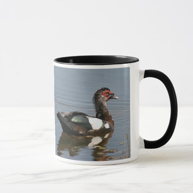 Muscovy Anka Mugg (Höger)