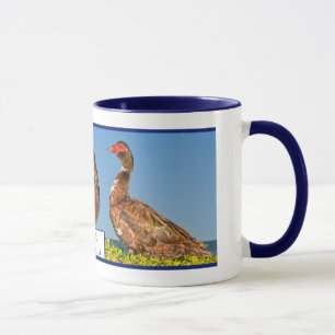 Muscovy anka mugg