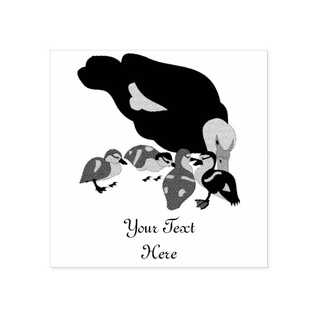 Muscovy Anka och Duckling Stämpel (Tryck)