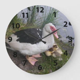 Muscovy Anka och Ducklings Clock Stor Klocka