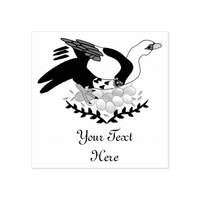 Muscovy Anka på en äggbo Stämpel (Tryck)