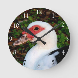 Muscovy Anka Round Clock Rund Klocka