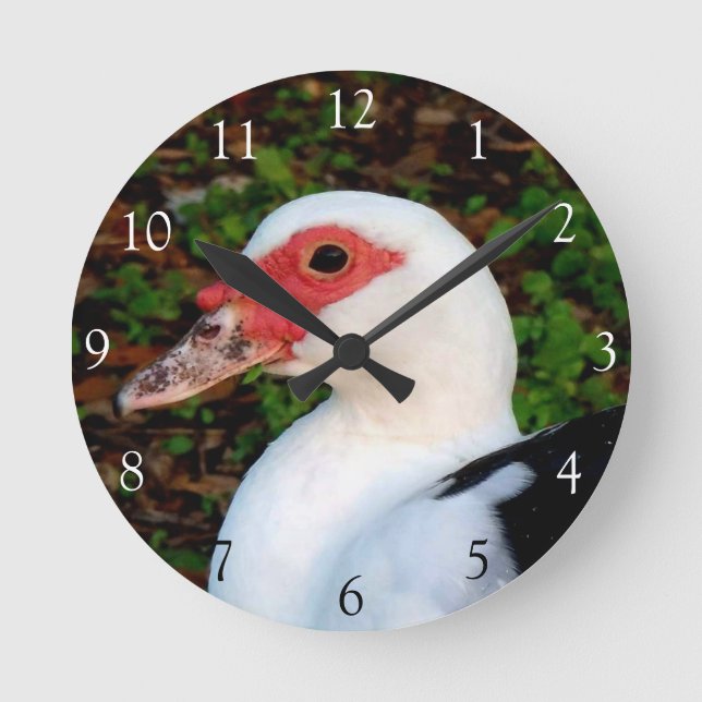 Muscovy Anka Round Clock Rund Klocka (Framsida)