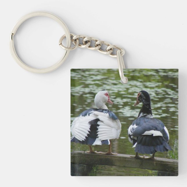 Muscovy Anka Sitta om en klämmande nyckelkedja (Framsidan)