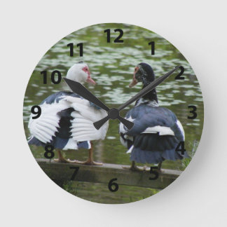 Muscovy Anka Sitta på en bench Clock Rund Klocka