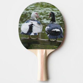 Muscovy Anka Sitta på en prydnadssadel Pingisracket