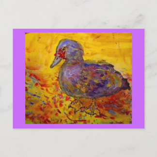 muscovy anka vykort