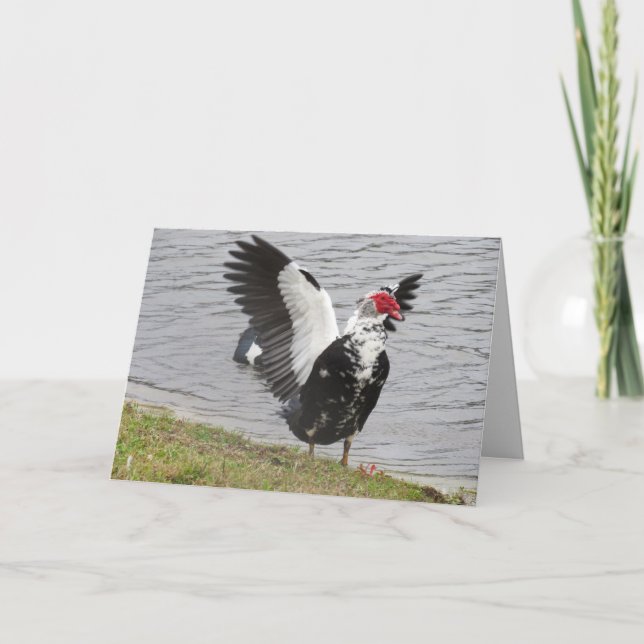 Muscovy Anka Wave Vingar Greeting Card Kort (Framsida)