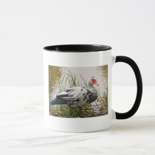 Muscovy ankamugg mugg