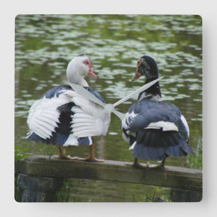 Muscovy ankor fyrkantig klocka