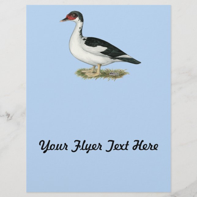 Muscovy Black Pied Anka Reklamblad (Framsidan)